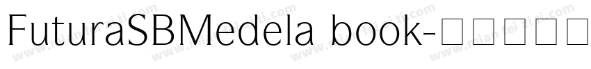 FuturaSBMedela book字体转换